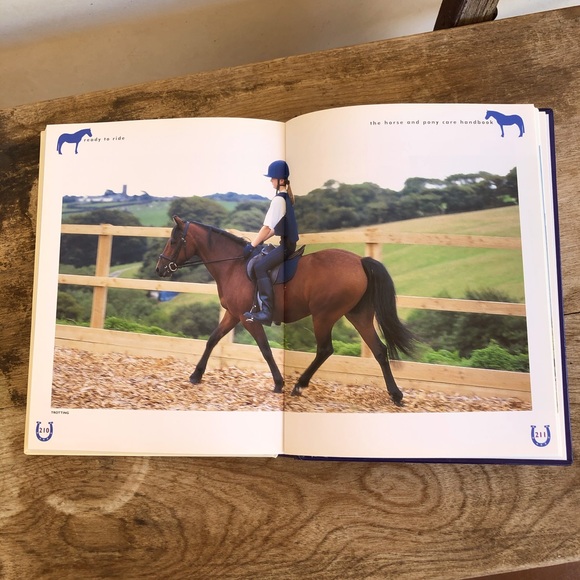 THE HORSE & PONY CARE HANDBOOK by Amanda Lang🏇🏇 - Picture 9 of 12